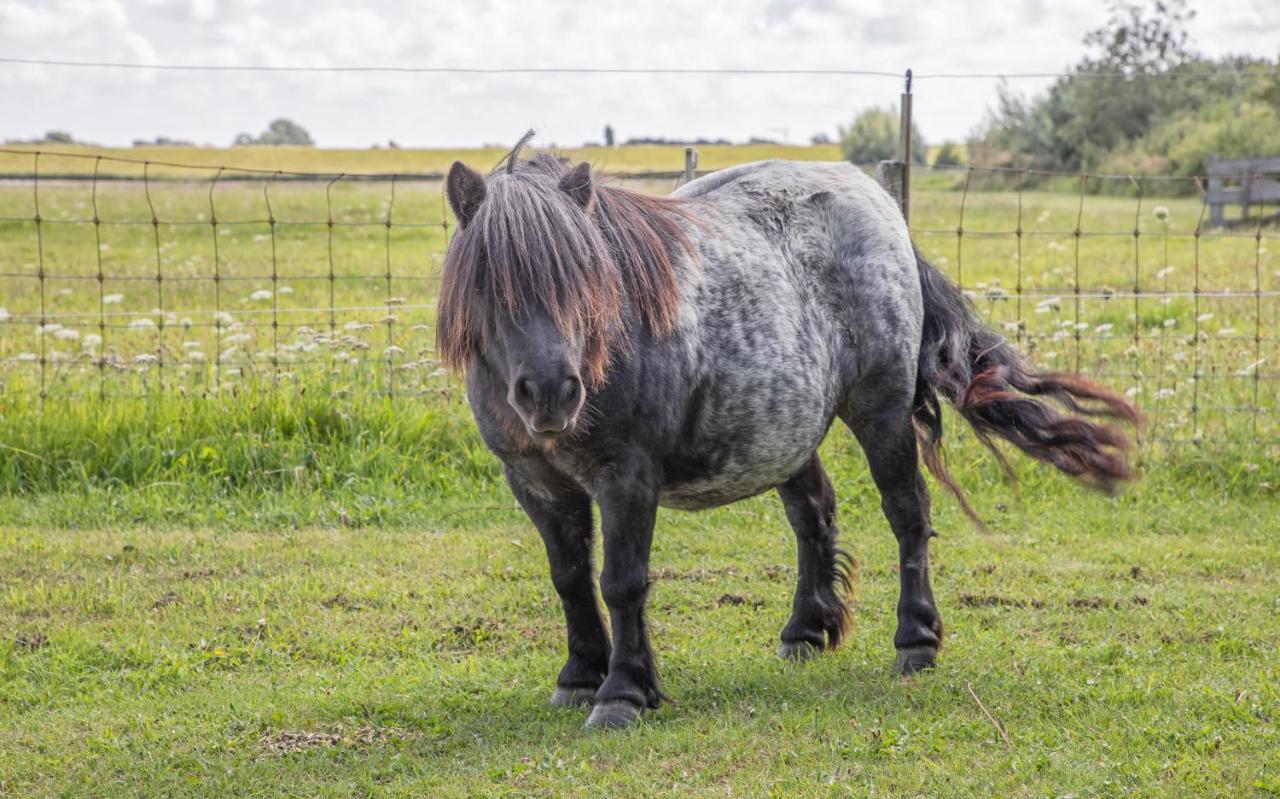 Eendrachtweg 4 De Cocksdorp  Buitenkant foto